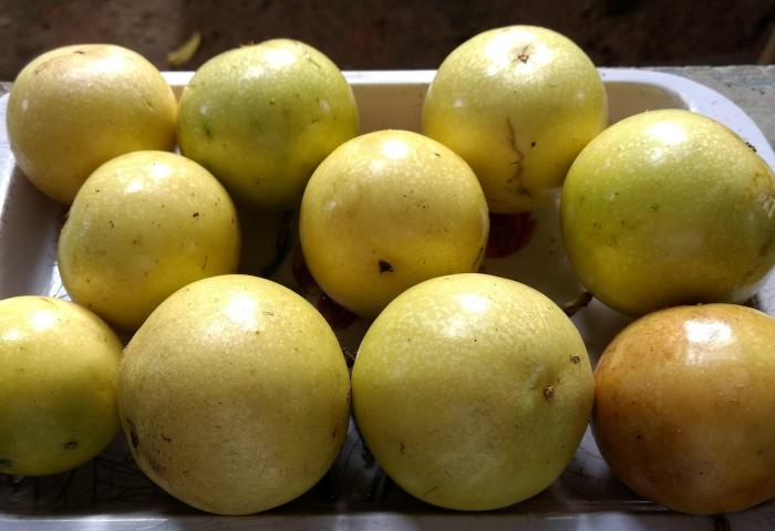 gelbe Passionsfrucht