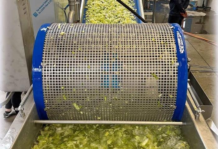 Salatmaschine im Einsatz