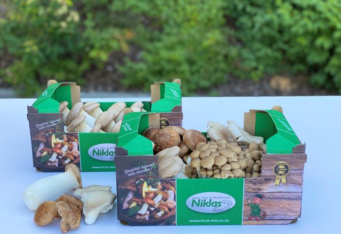 Zwei Schachteln Niklas Pilze, die die asiatische Pilzmischung enthalten