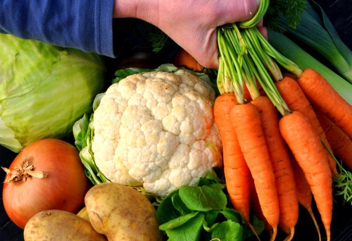 Erzeuger mit Gemüse in der Hand