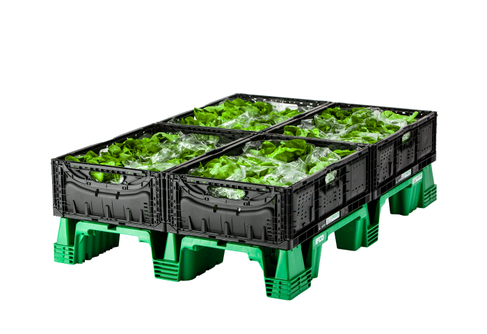 Nestor Pallette mit Salat