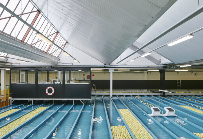 Äpfel in Verpackungsanlage