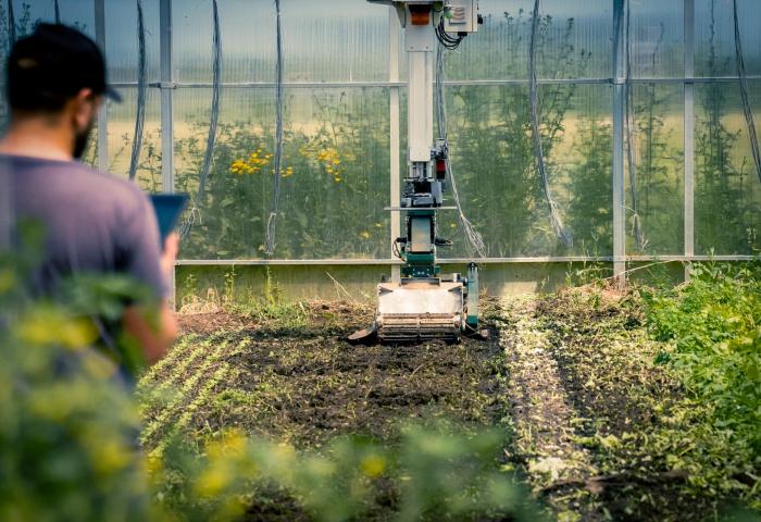 Les Fermes Debout verbinden Bio-Anbau mit Hi-Tech
