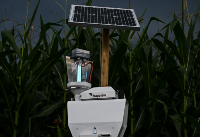 Die Schädlingsüberwachung AURA