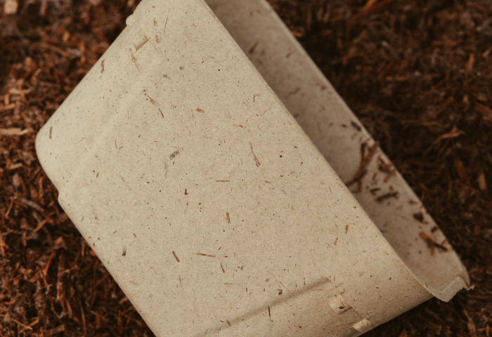 Verpackung aus Pilzresten