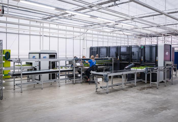 Ansicht Gewächshaus