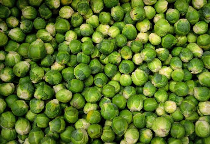 Rosenkohl