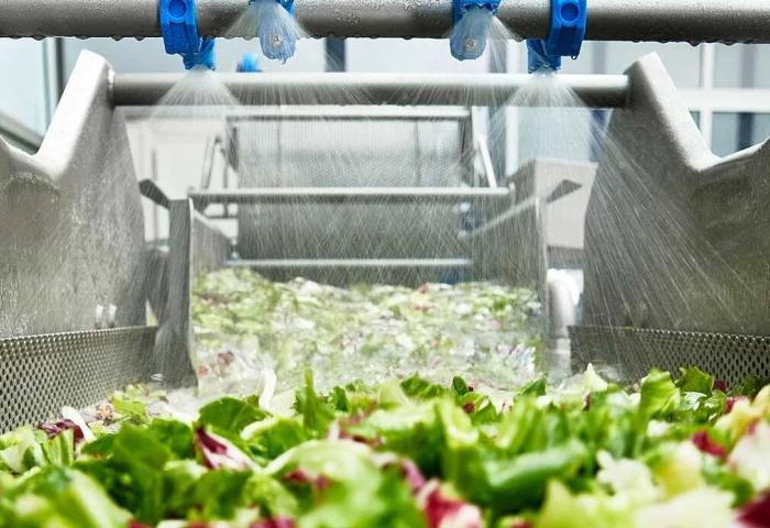 Maschine mit Fresh-Cut-Salat