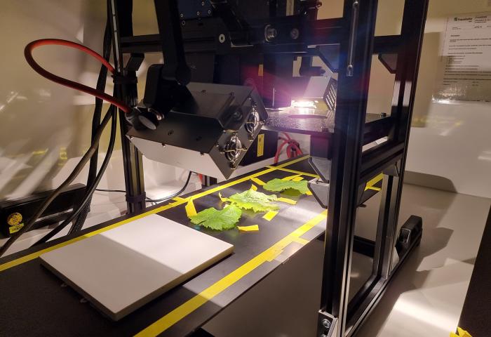 Symptomatische Blätter werden im PhenoTruck® mit Hyperspektralkameras analysiert, die verdächtige Blätterverfärbungen schnell erkennen und lokalisieren.