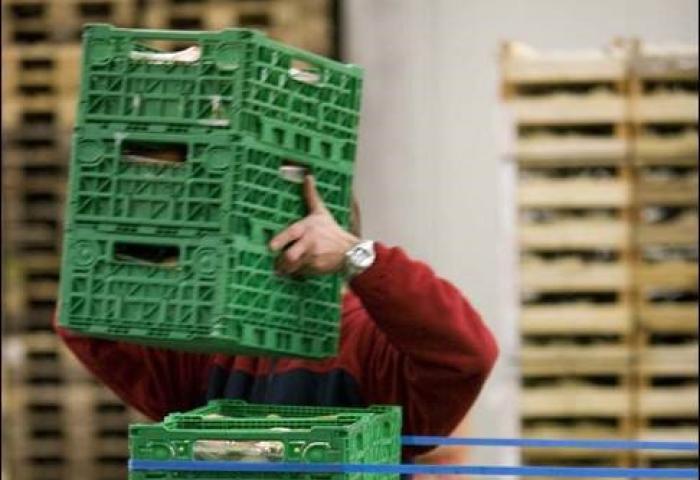 Mann mit grünen Kisten