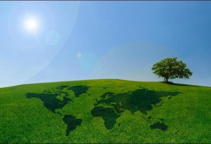 Postharvest-Verluste verhindern