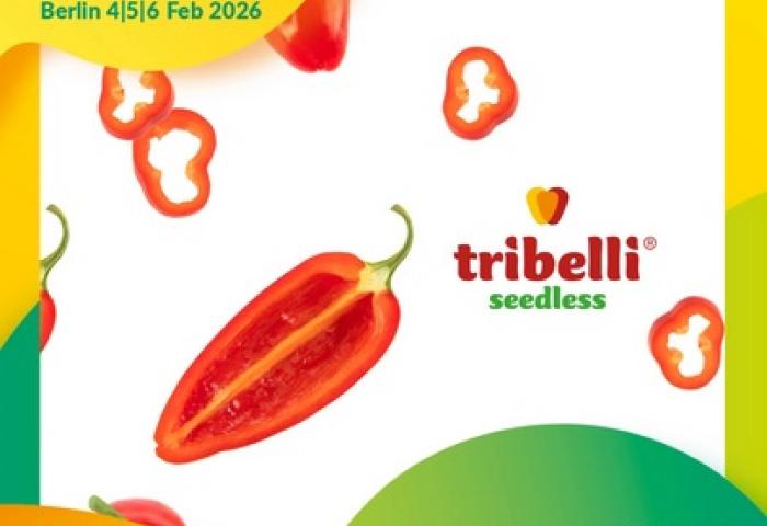 Tribelli im Messe-Design