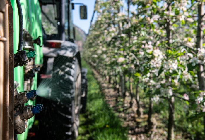 Traktor auf der Plantage