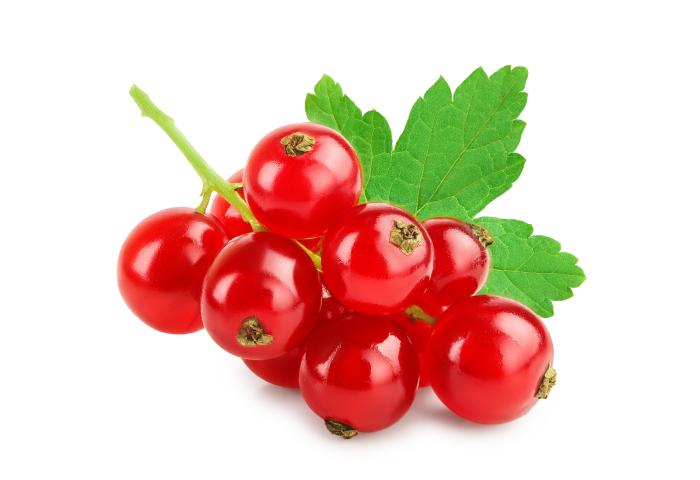 rote Johannisbeeren