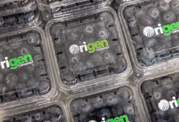 Blaubeeren in einer durchsichtigen Verpackung mit dem Aufdruck Origen