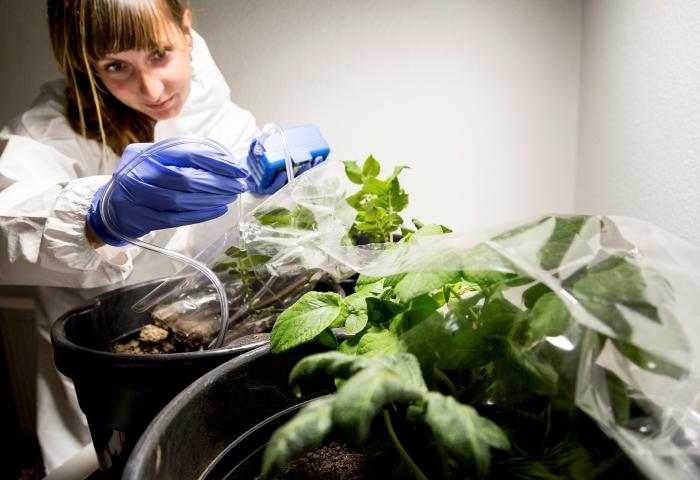 Forscherin Sarah Vermeeren im Labor