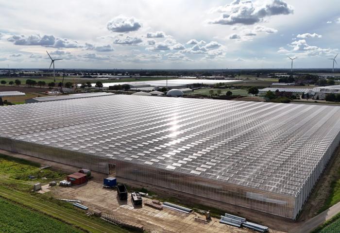 Aufnahme eines großen Gewächshauskomplexes der Landfrisch AG von oben.