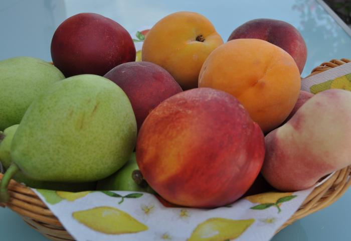 diverses Obst in der Schale