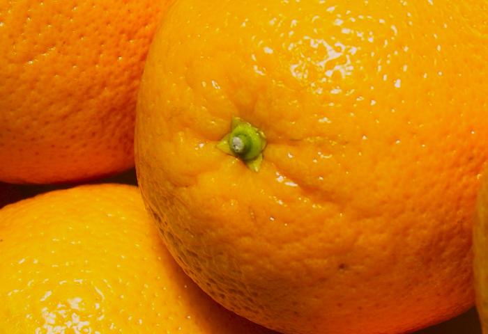 Nahaufnahme von Orangen