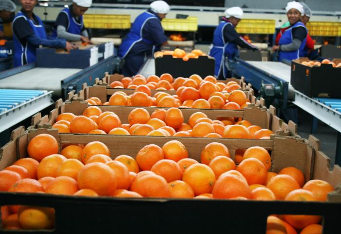 Soft Citrus in der Verpackungsanlage