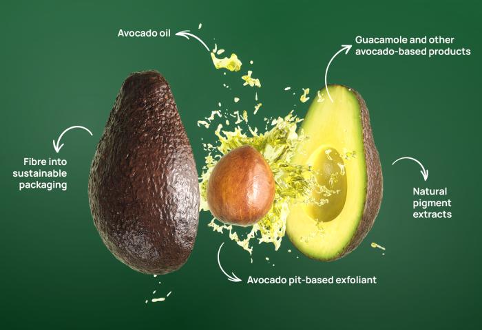 aufgesplittete Avocado