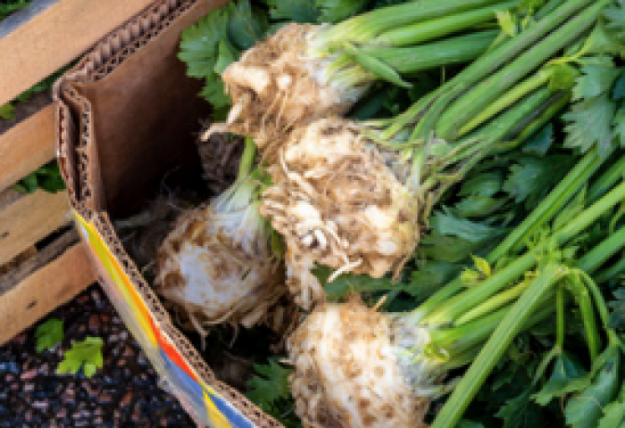 Knollensellerie in Karton