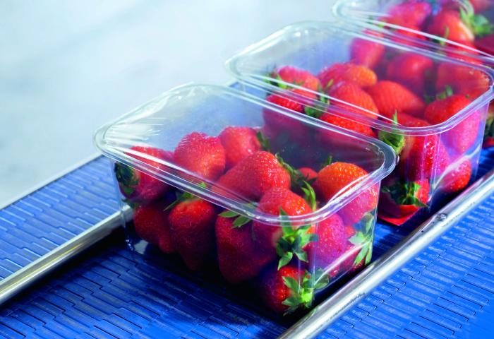 Erdbeeren in Kunststoffverpackung
