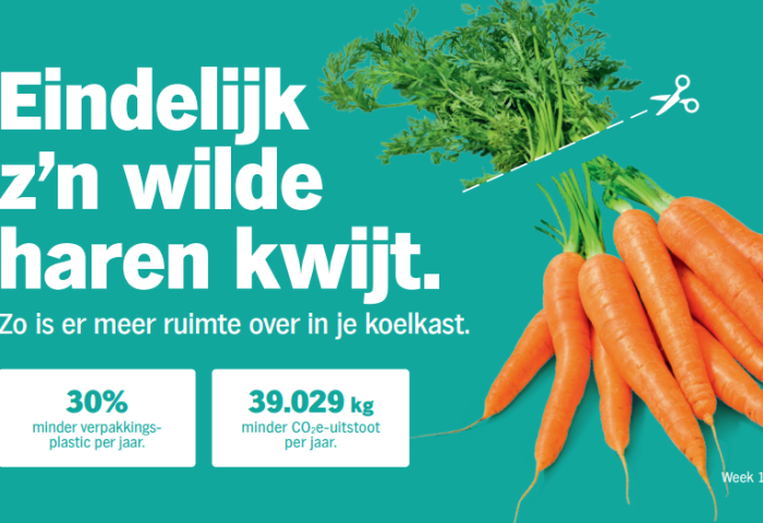 Plan für Möhren ohne Grün