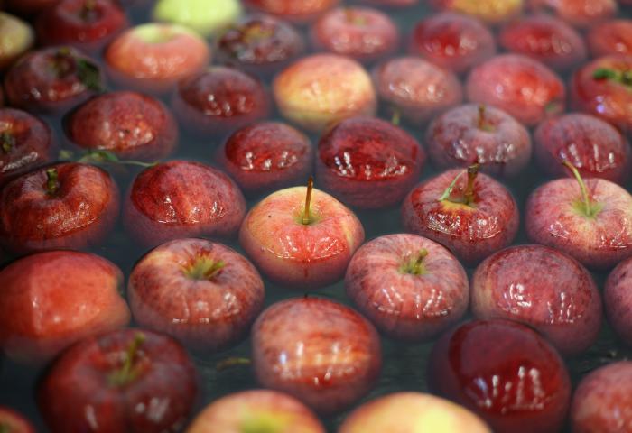 Äpfel in einem Wasserbad.