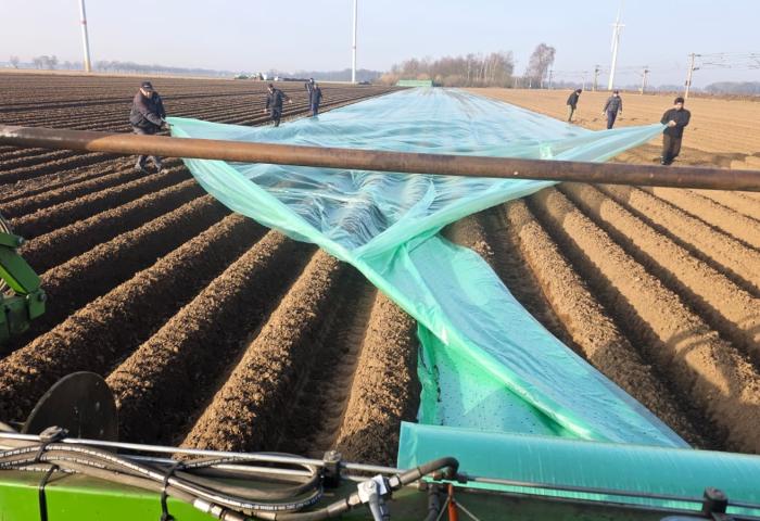 Frühkartoffel-Anbau in Niedersachsen 2026