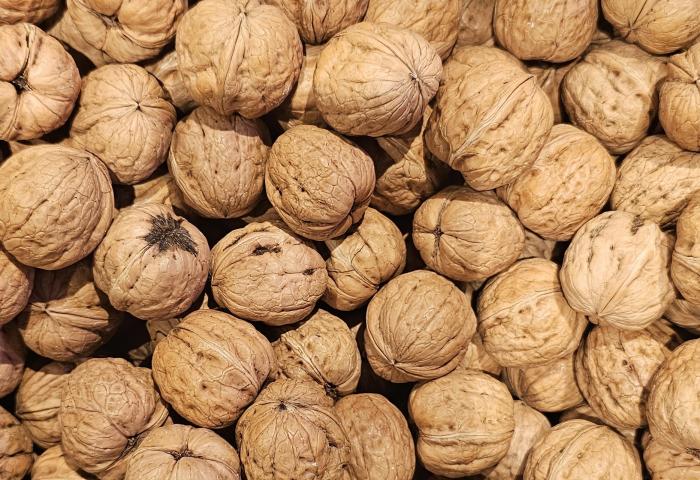 Walnüsse