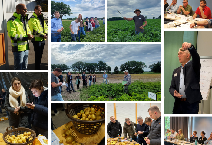 Infobild Fachkraft Kartoffel