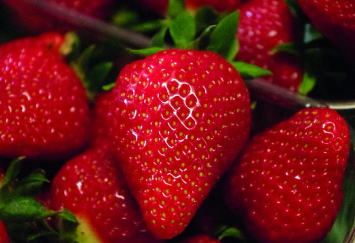 Erdbeeren
