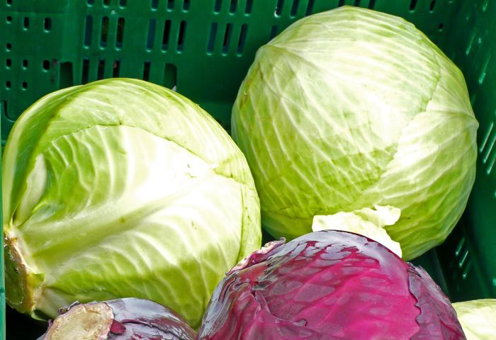 Weiß- und Rotkohl