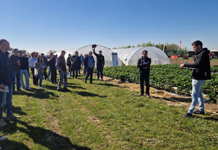 Menschen auf einem Feld mit Tunnelproduktion