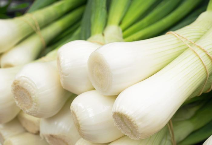 Nahaufnahme Lauchzwiebel