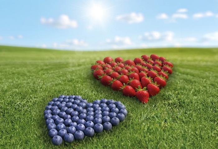 Erdbeeren und Himbeeren in Herzform auf Rasen