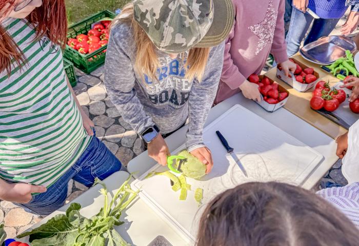 Kinder schneiden Obst und Gemüse