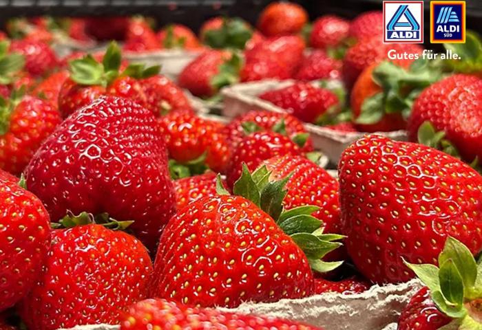 Erdbeeren