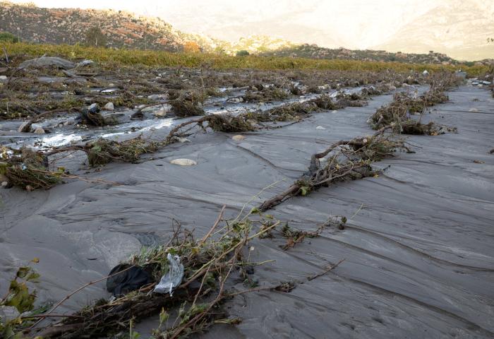 Von Unwettern zerstörte Plantagen
