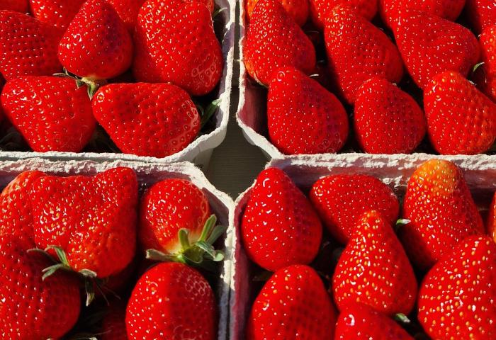 Erdbeeren in Kartonschalen