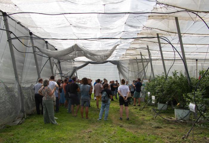 Menschen werden unter einer Abdeckung auf einer Obstplantage informiert