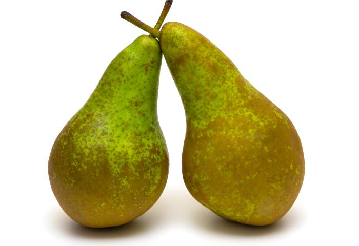 zwei Birnen, die die Stengel kreuzen
