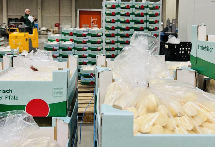 Spargel-Kisten werden angeliefert und gelagert