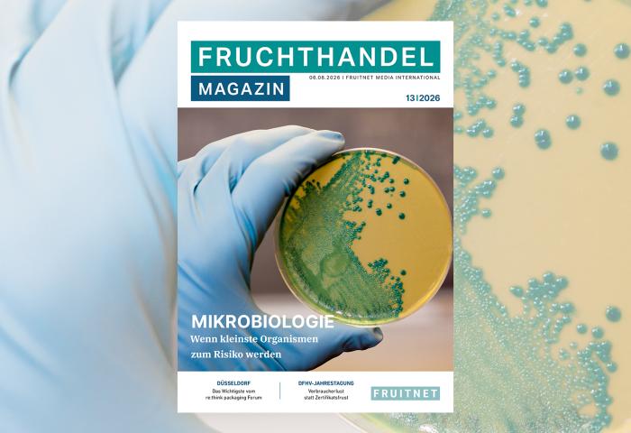 Cover der Ausgabe 13-2026