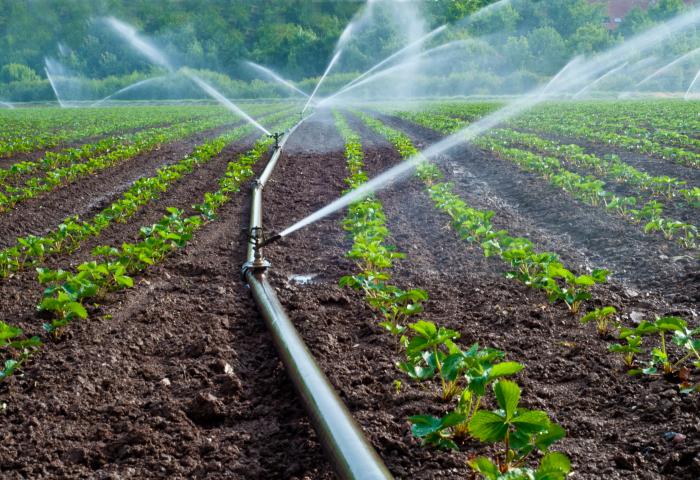 Feld wird bewässert