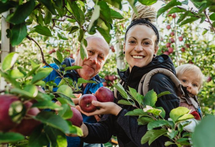 Frau mit Kleinkind und älterem Mann in Apfelplantage