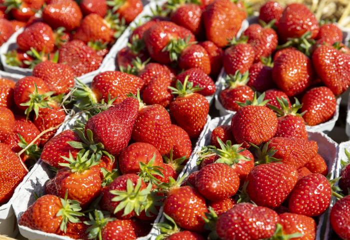 Erdbeeren in Schalen