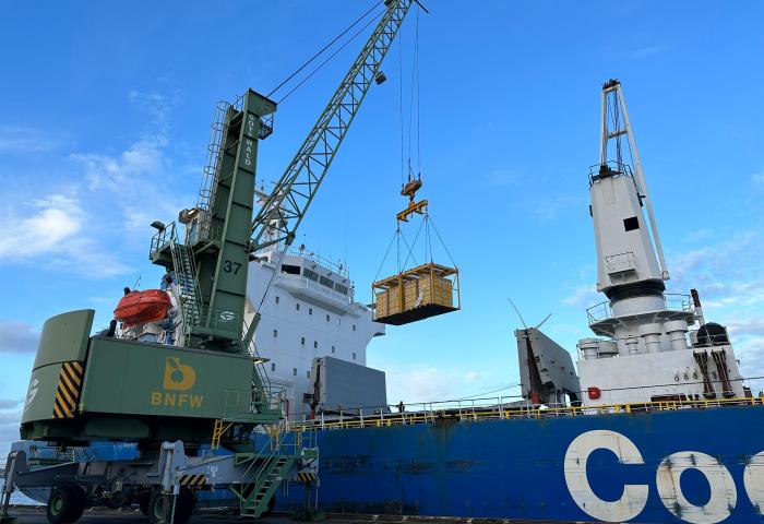Kiwis werden im Hafen mit Kran vom Schiff gehoben