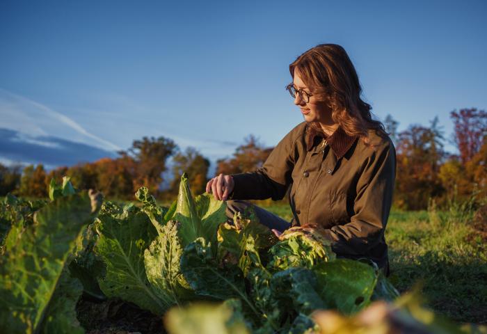 Frau mit Kohlköpfen